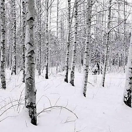 Ferienhaus Kopinkallio 2 By Interhome *