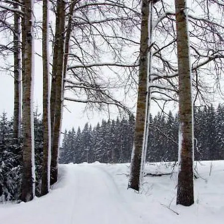 Kopinkallio 2 By Interhome Ferienhaus Patiala