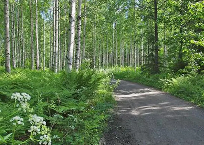 Kopinkallio 2 By Interhome *