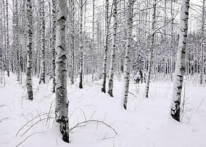 Kopinkallio 2 By Interhome Patiala