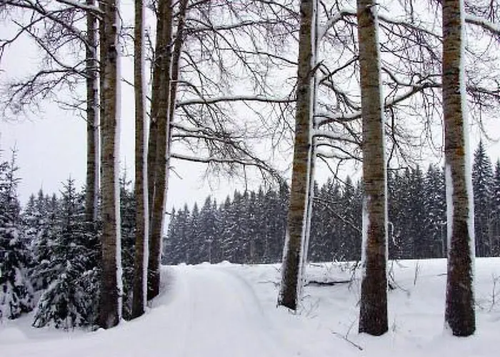 Kopinkallio 2 By Interhome 펜션 Patiala